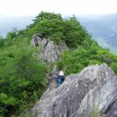 산청 - 순천시 | 산청