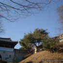 서덕길 효자각徐德吉 孝子閣 | 청원...문의 문화재단지