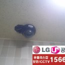 신혜원어린이집 이미지