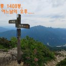 가는골1 Daum카페