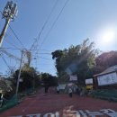 공곶이언덕 | 거제 공곶이 수선화축제, 바람의언덕, 근포동굴까지 가족여행코스 추천