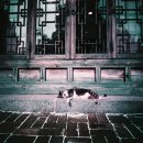 차와 함께 일상으로의 여행 이미지