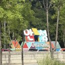 590 | [안성맛집] 민생소비지원금 쓰러 갔다가 돈까스 맛집 발견! 오구영590 후기