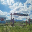 바람꽃해녀마을속초본점 | 속초 현지인 맛집 전복전문점 바람꽃해녀마을 속초본점 후기