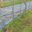 순창읍사무소 이미지