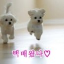 전주이맛콩나물국밥 이미지