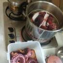 설악민물장어 이미지