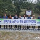 만두나무 이미지