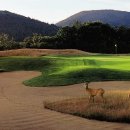 나인브릿지콘도미니엄 이미지