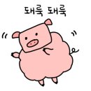 자매팥칼국수 이미지