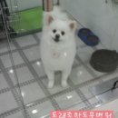 동래종합동물병원 이미지