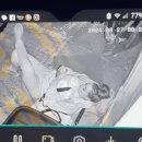 핸드폰에 몰두하면 위험한 이유 이미지