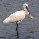 북포초교 이미지