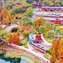 월아산 숲속의 진주(목공체험장) 이미지