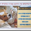천지가축약품 이미지