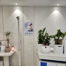 금정이비인후과의원 | 산본 이비인후과 추천 봄과 함께 찾아온 비염