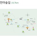 한라산둘레길 천아숲길 이미지