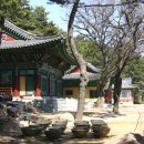 금용암 - 1620 | 금용암