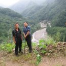 법수산장 이미지