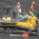 밀림 여의도 이미지