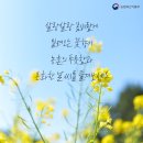 철쭉피는황매골마을 이미지