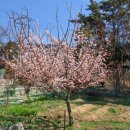 꾸지나무골 행복한 하우스 이미지