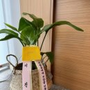 정인철 한의원 이미지