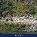 에코프라미스 | 가평캠핌장 에코프라미스 시설 깔끔으로 유명한 곳의 이용 비용 안내