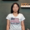 하미스토리