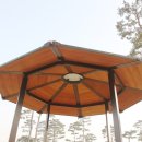 파라솔식당 이미지