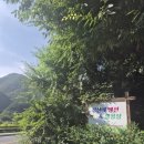 정선펜션 정선애 펜션&amp;캠핑장 방문후기!!