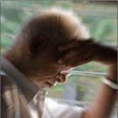 정가네농장 이미지