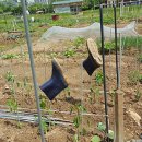 장화공원 이미지