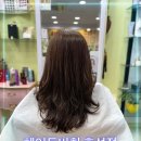 올리브헤어샾 - 청주시 상당구 | 올리브헤어샾