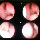 오월애한의원 이미지