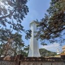 봄맞이 울산 이미지