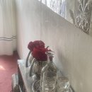 낙타(NAKTA) 이미지