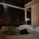 아남농장2 이미지