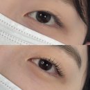 수암로L | 울산 남구 야음동 프리미엄 속눈썹펌/뷰러펌 &#39;오소뷰티&#39;