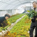 성화농장 이미지