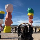 뉴그랜드약국 | 미국 칸쿤 신혼여행 4일차 la에서 라스베가스