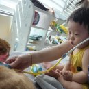 목포아동병원 이미지