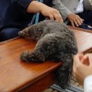 문토리 - 성동구 고산자로 297 | 문토리