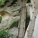 어마무시 이미지