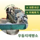 우둠지 | [ 카페 ] 우둠지제빵소… 내돈내산 후기