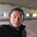 김지룡 태극권 이미지