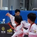 한국체대 중앙태권도 이미지