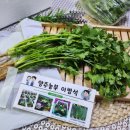 고수농장 이미지