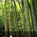 힐링올레 이미지