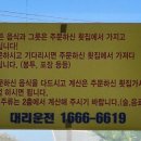 99.9호털보횟집 네이버블로그